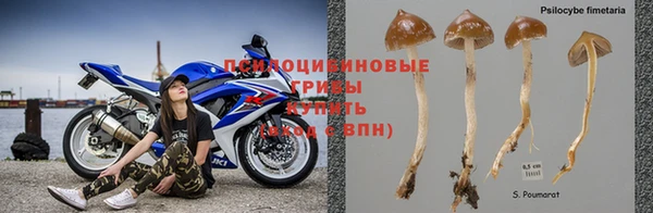 мяу мяу мука Володарск